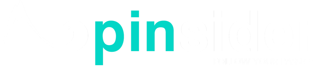 Pinsider Logo Weiß Transparent